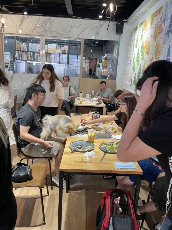 森林小徑文心店对宠物超友善