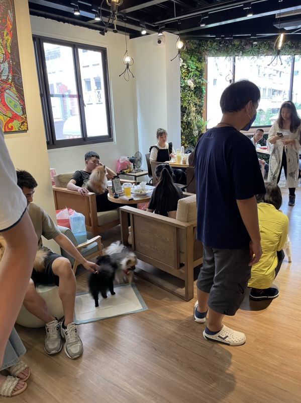 森林小徑文心店对宠物超友善