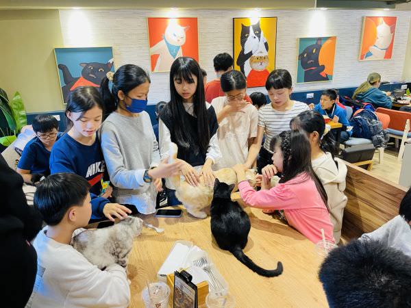 森林小徑文心店对宠物超友善