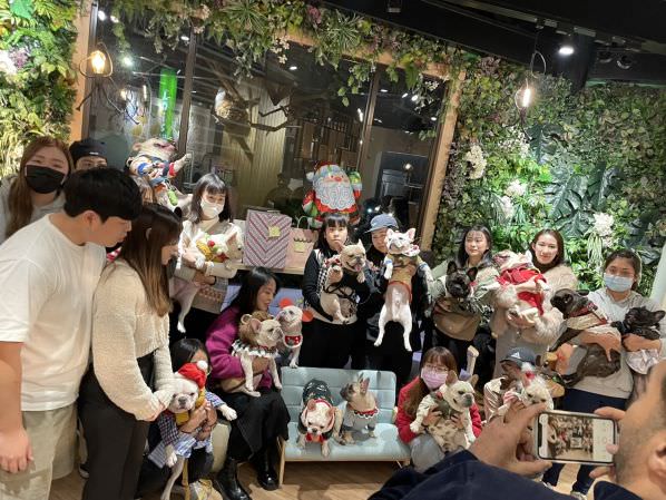 森林小徑文心店对宠物超友善